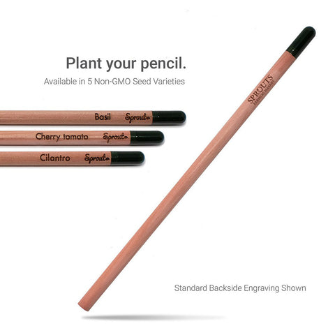 Seed Pencil (Natural) - 100 Pack